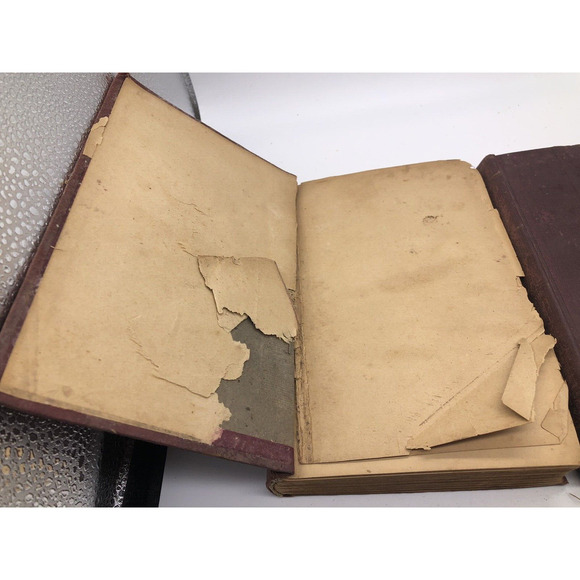 ALEXANDRE DUMAS Books Early Editions 1800s Antique Lot 2 Edmond Dantes Valliere - Picture 3 of 8